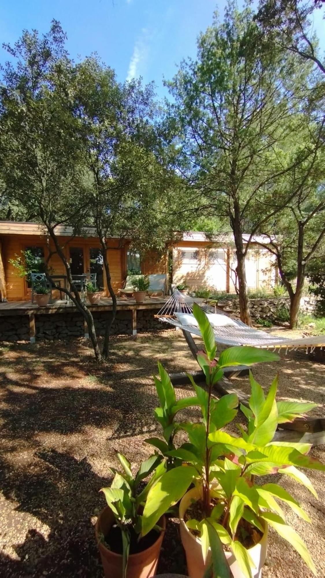 Entrecasteaux La Bergerie Des Colles Bed & Breakfast エクステリア 写真