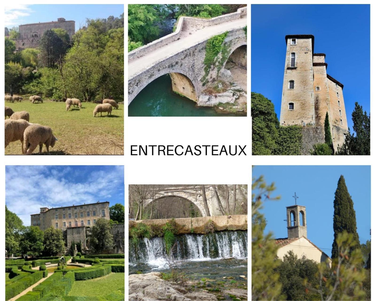 Entrecasteaux La Bergerie Des Colles Bed & Breakfast エクステリア 写真