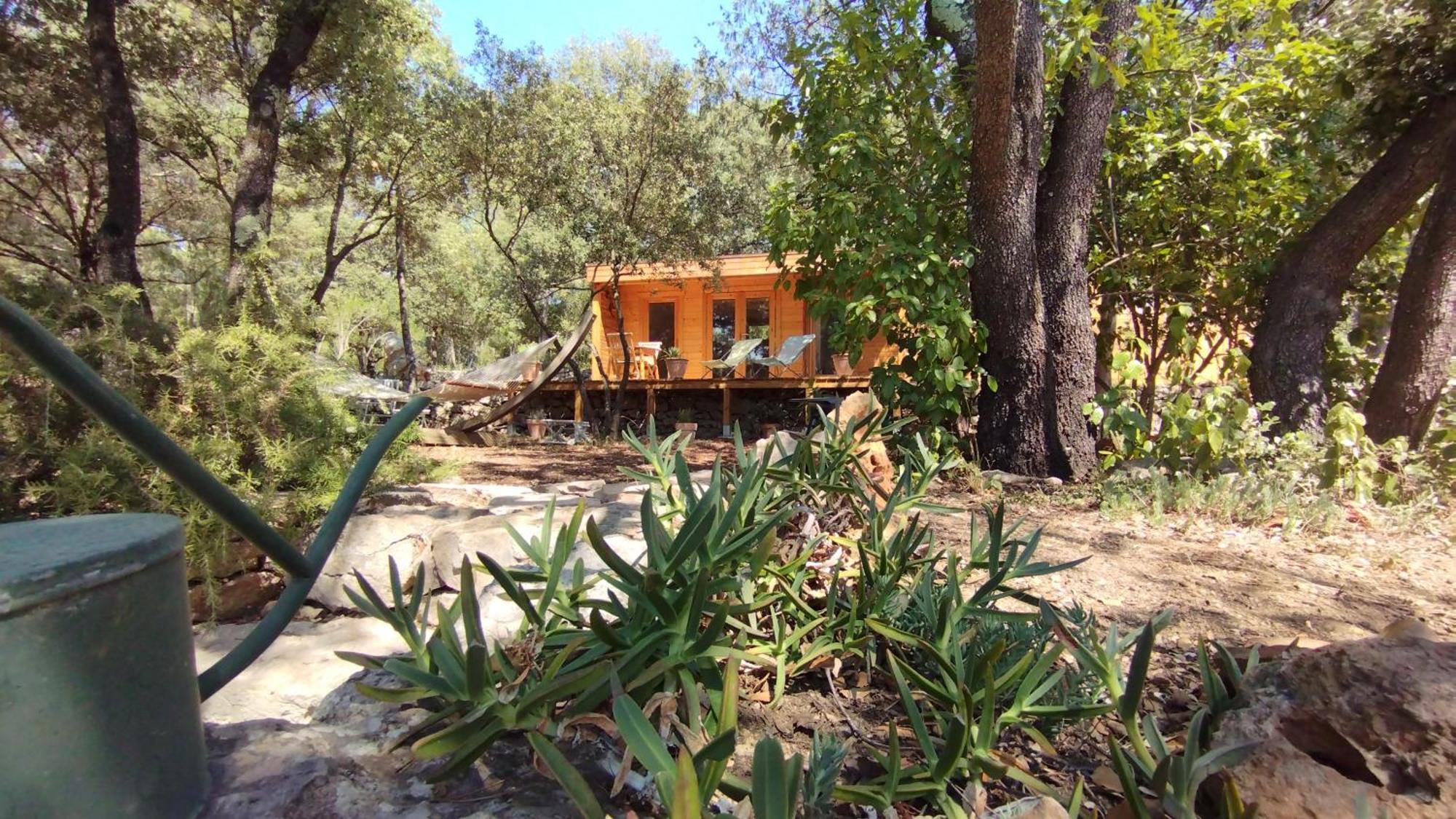 Entrecasteaux La Bergerie Des Colles Bed & Breakfast エクステリア 写真