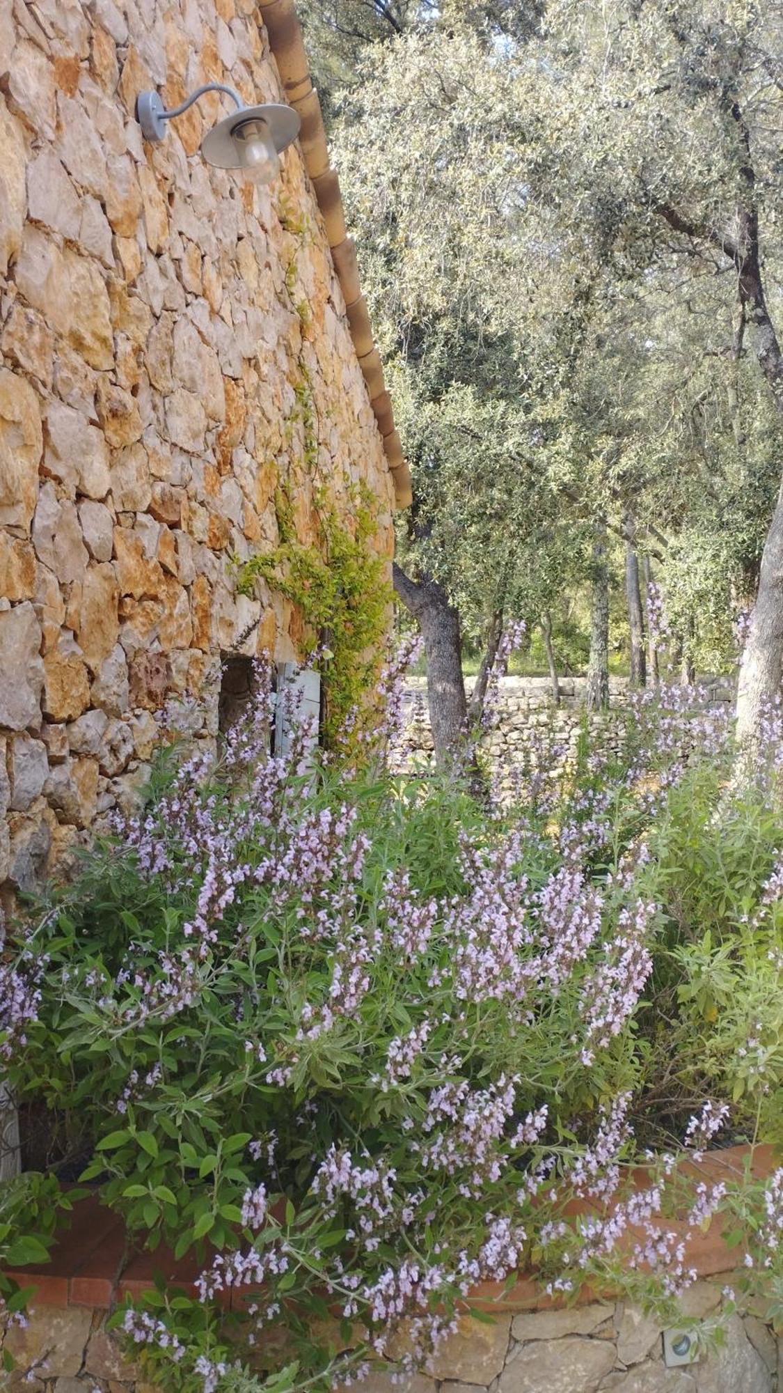 Entrecasteaux La Bergerie Des Colles Bed & Breakfast エクステリア 写真